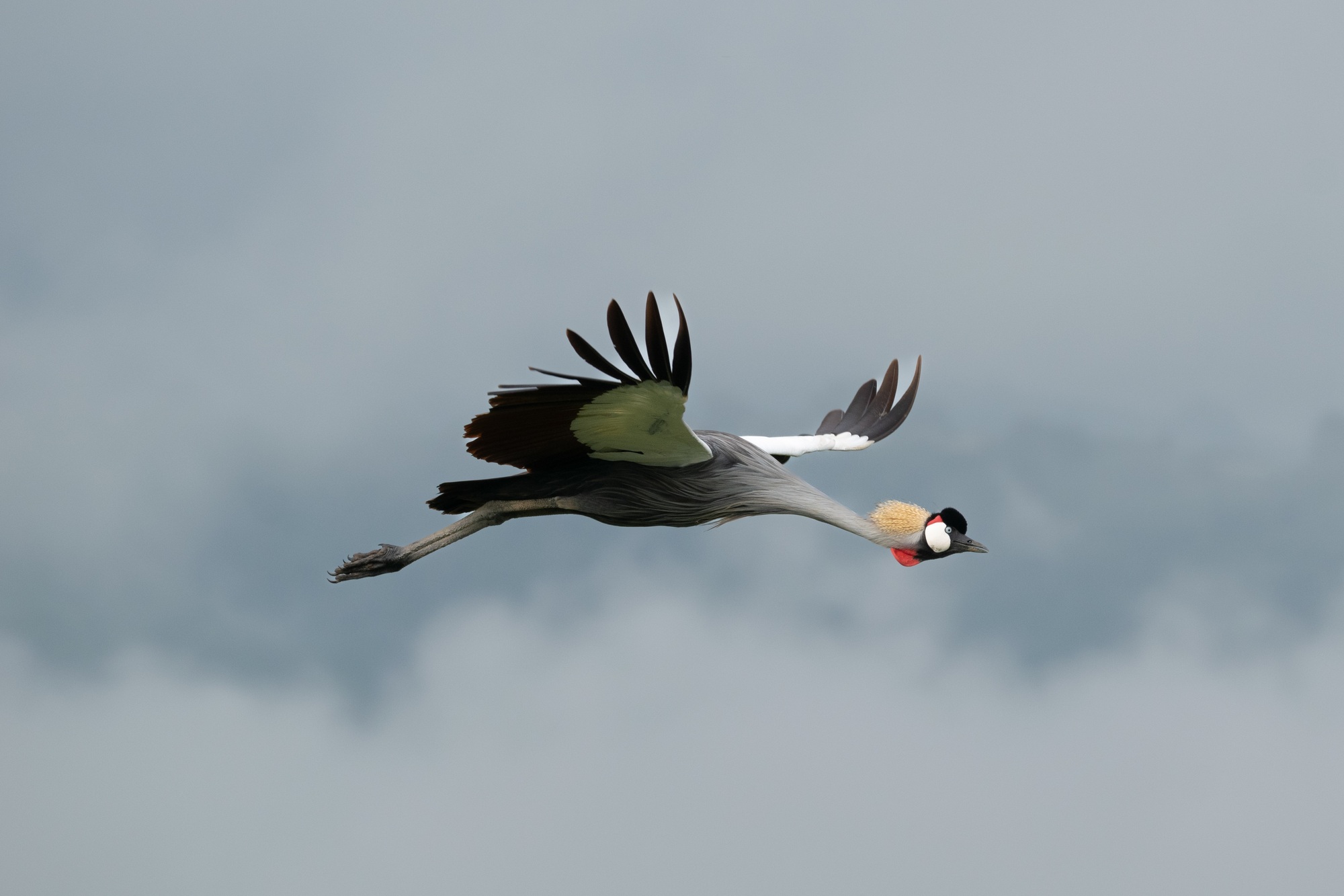 7 Days Budget Safari from Zanzibar