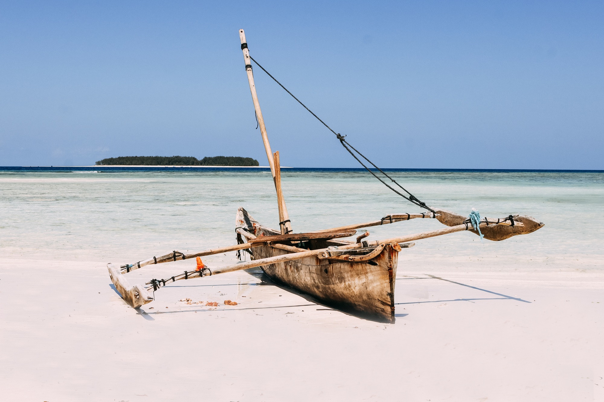 5 Days Safari from Zanzibar