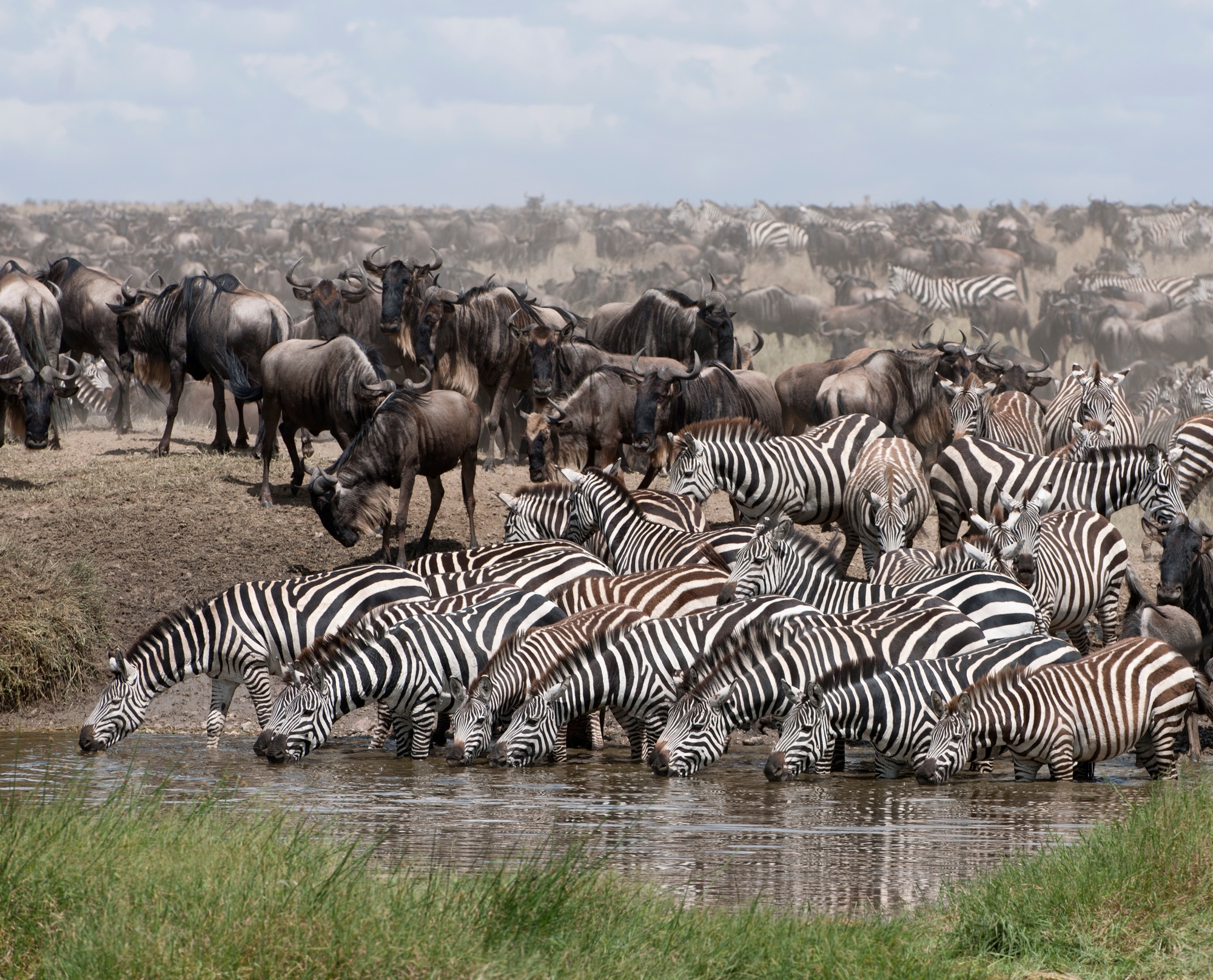 4 Days Luxury Safari