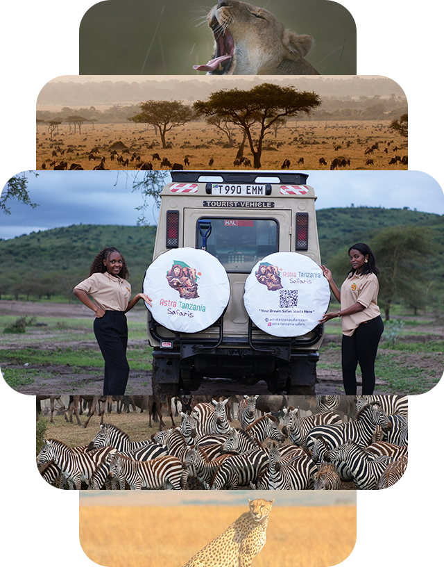 Tanzania safari landscape