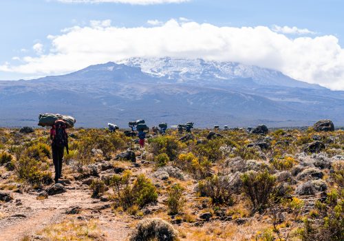 Hikers climbing Mount Kilimanjaro in Tanzania